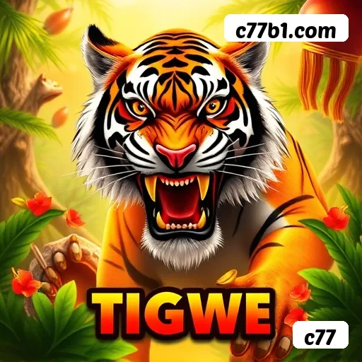 Checklist para avaliar a plataforma c77